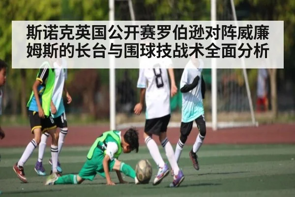 斯诺克英国公开赛罗伯逊对阵威廉姆斯的长台与围球技战术全面分析