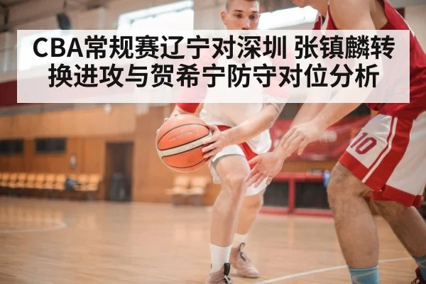 CBA常规赛辽宁对深圳 张镇麟转换进攻与贺希宁防守对位分析